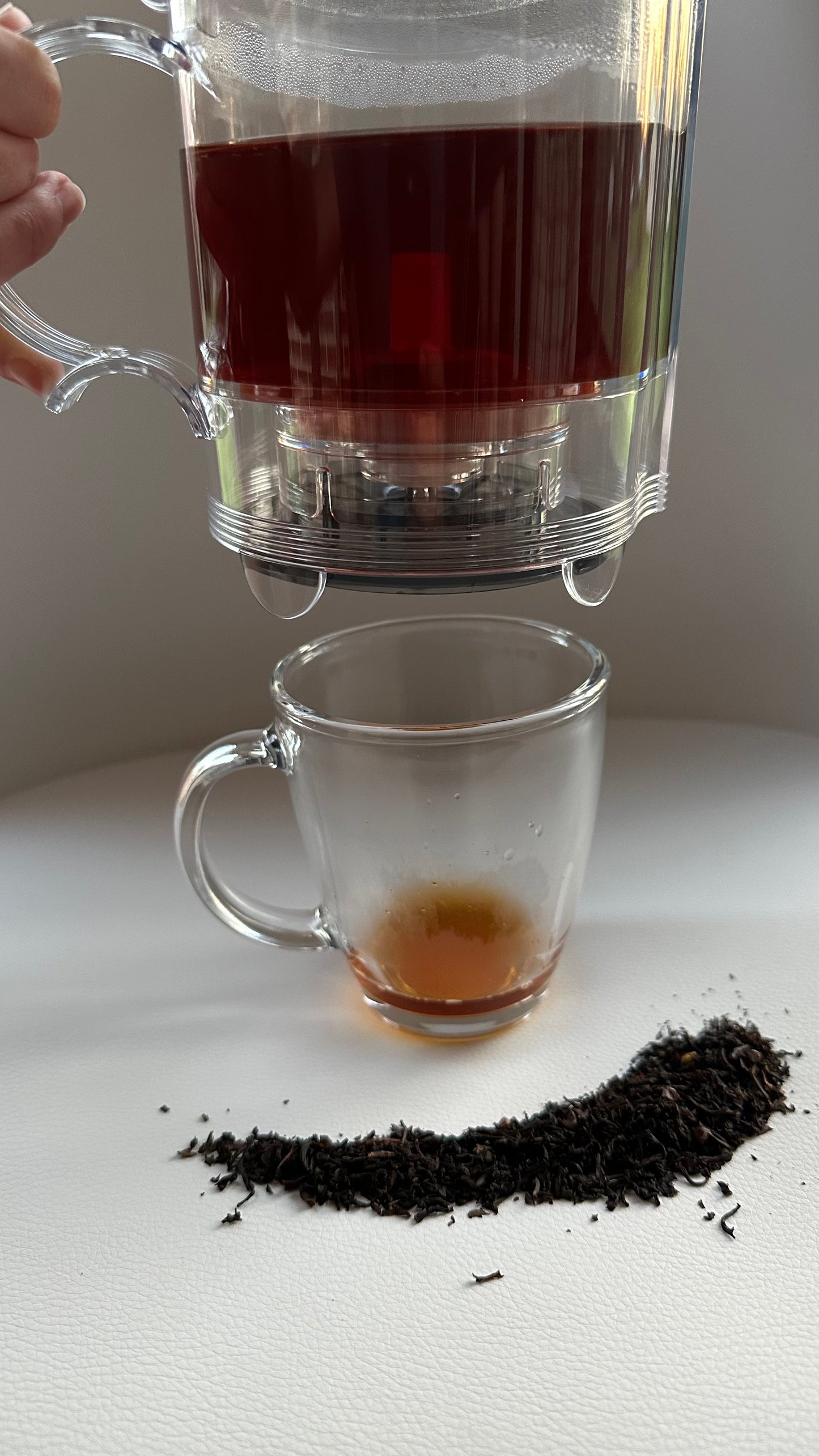 Teapot Infuser