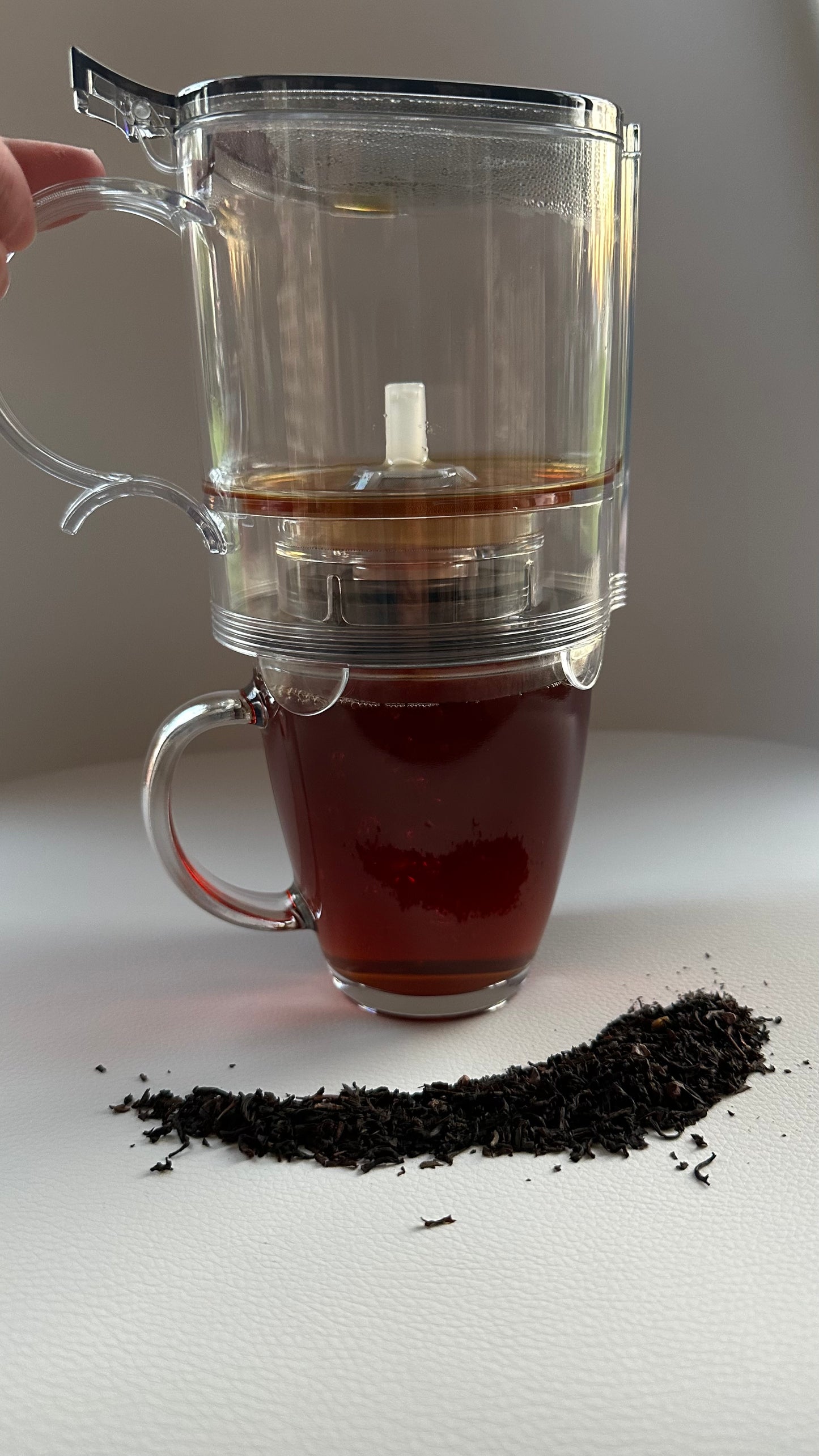 Teapot Infuser